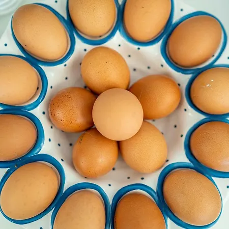 Marco Polo Отель